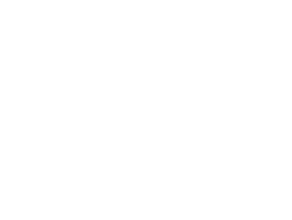 536x405_BI-report_Illustration_landing-page